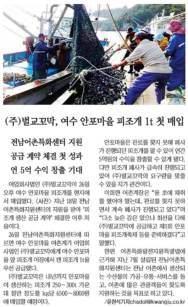 (주)벌교꼬막 여수 안포마을 피조개 1t 첫 매입(2016.10.26)