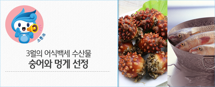 해수부, 3월 어식백세 수산물 '숭어·멍게' 선정