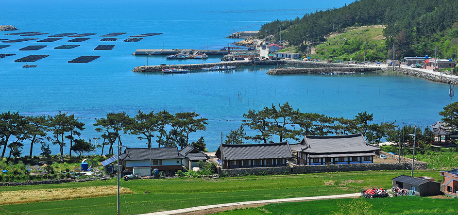 완도군 도락어촌체험휴양마을