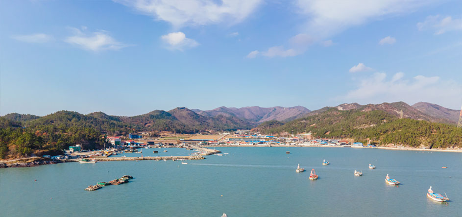 진도군 초평어촌체험휴양마을