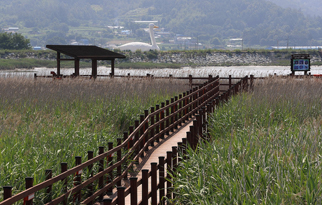 강진만 생태공원